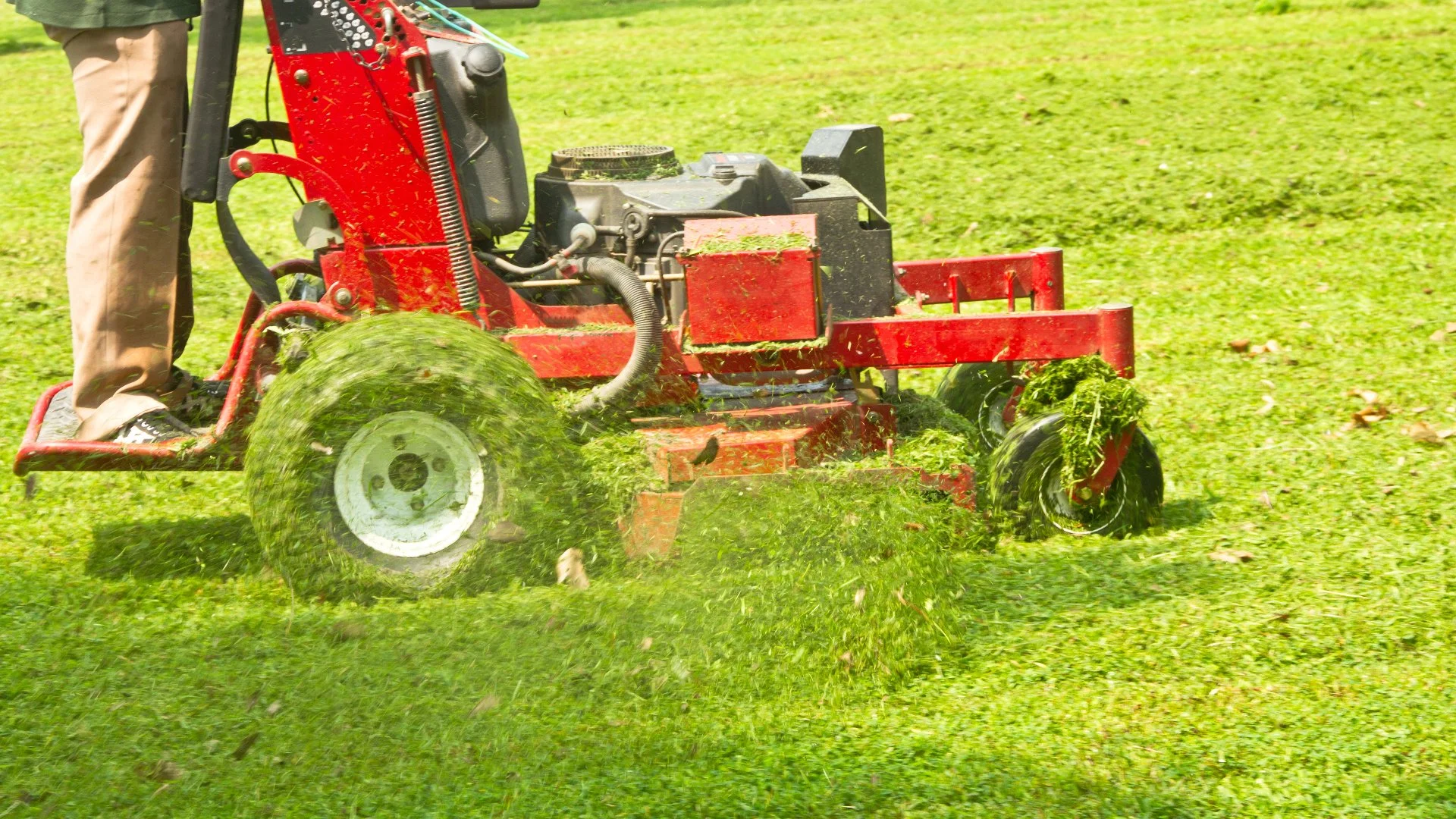What Does It Mean When Your Lawn Care Provider Refers to the 1/3 Rule of Mowing?