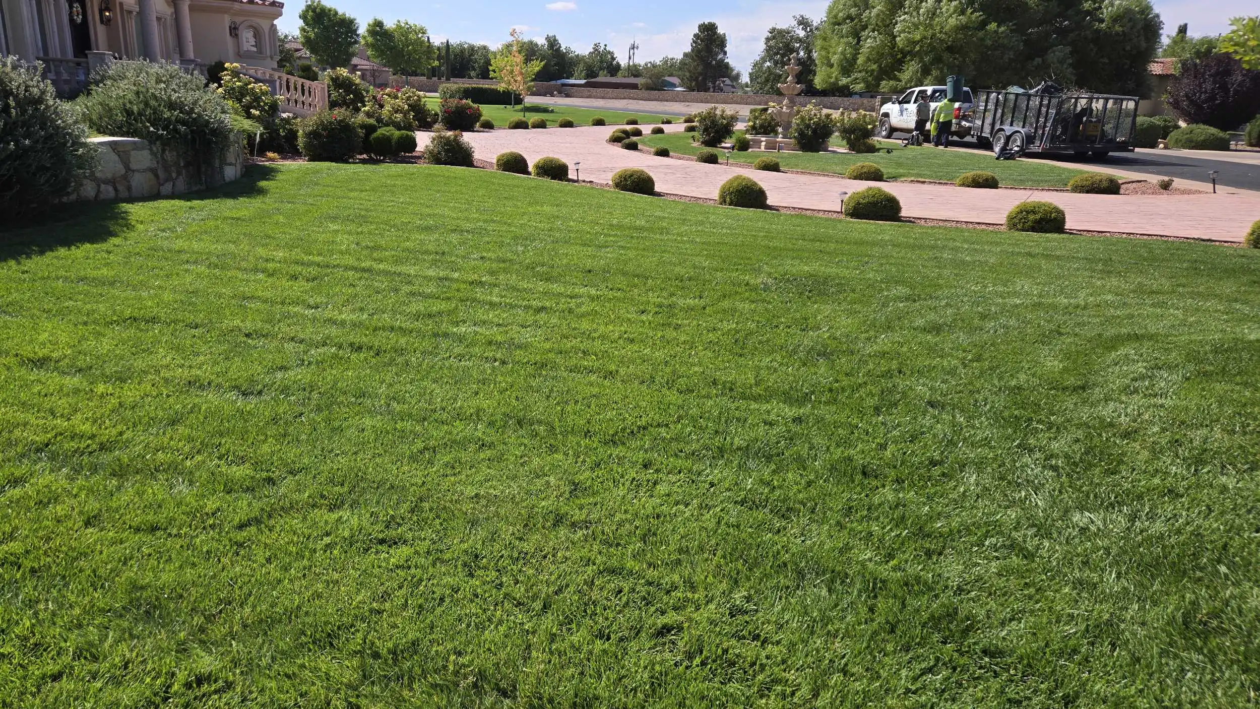 A well-maintained, lush green lawn in front of a large house, with neatly trimmed bushes and a paved driveway in Mesilla, NM.