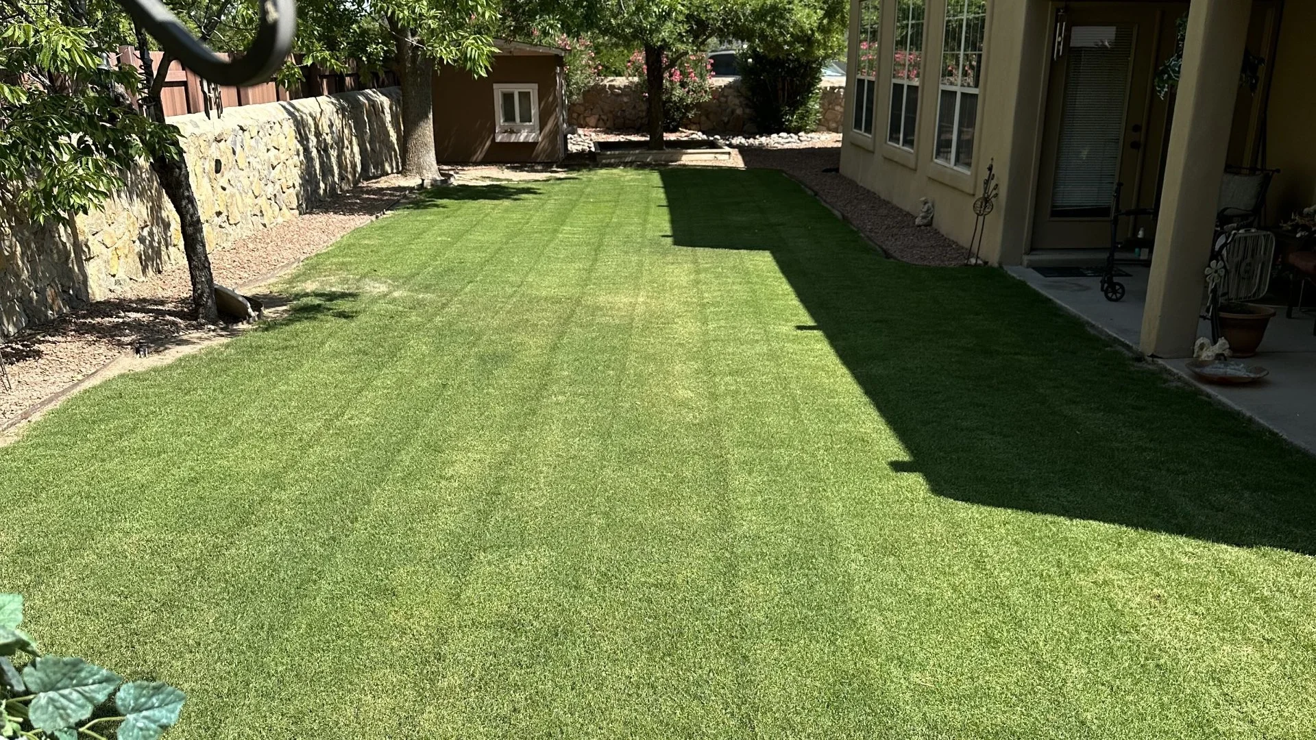 Why Are There Ruts in Your Soil After Mowing Your Lawn?