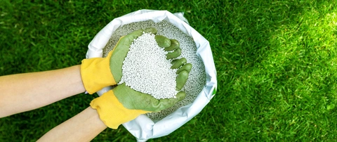 Granular fertilizer pellets in a gloved professional's hands in Las Cruces, NM.
