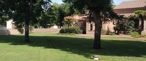 Front yard with trees and a house in the background in Mesilla, NM.